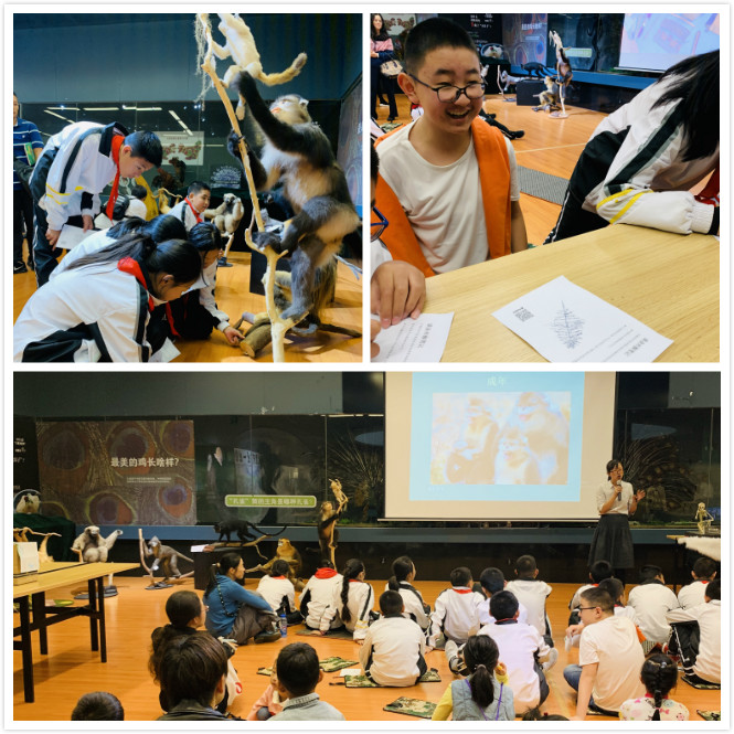 电子游戏app下载安装