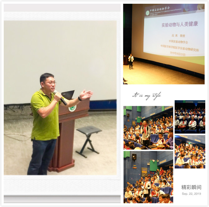 电子游戏app下载安装