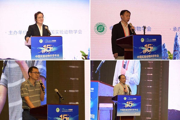 电子游戏app下载安装