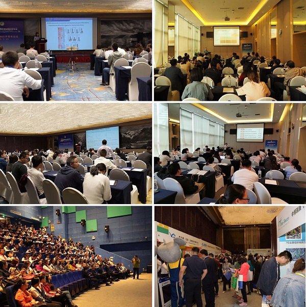 电子游戏app下载安装