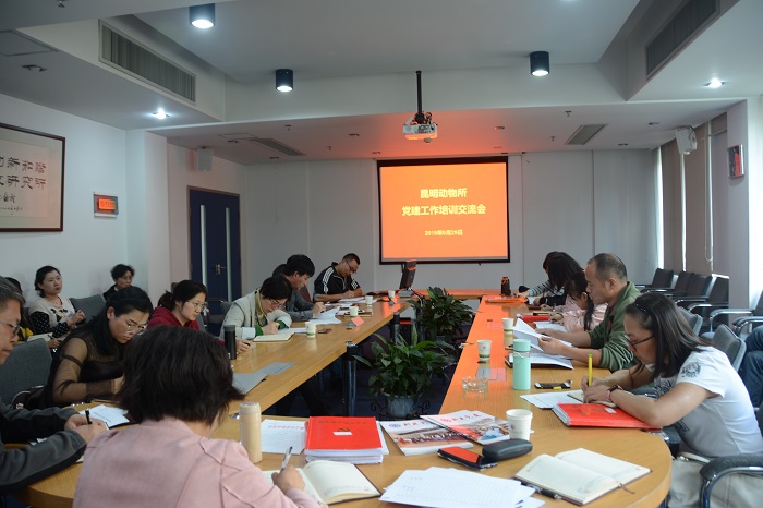 电子游戏app下载安装