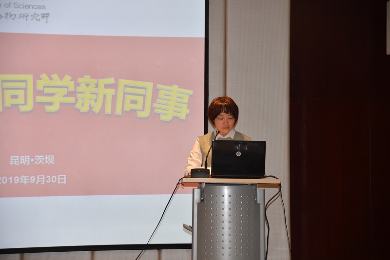 电子游戏app下载安装