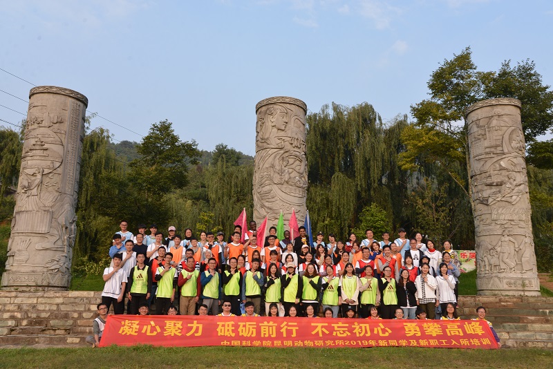 电子游戏app下载安装