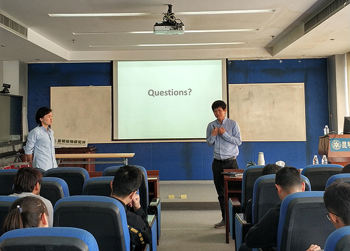 电子游戏app下载安装