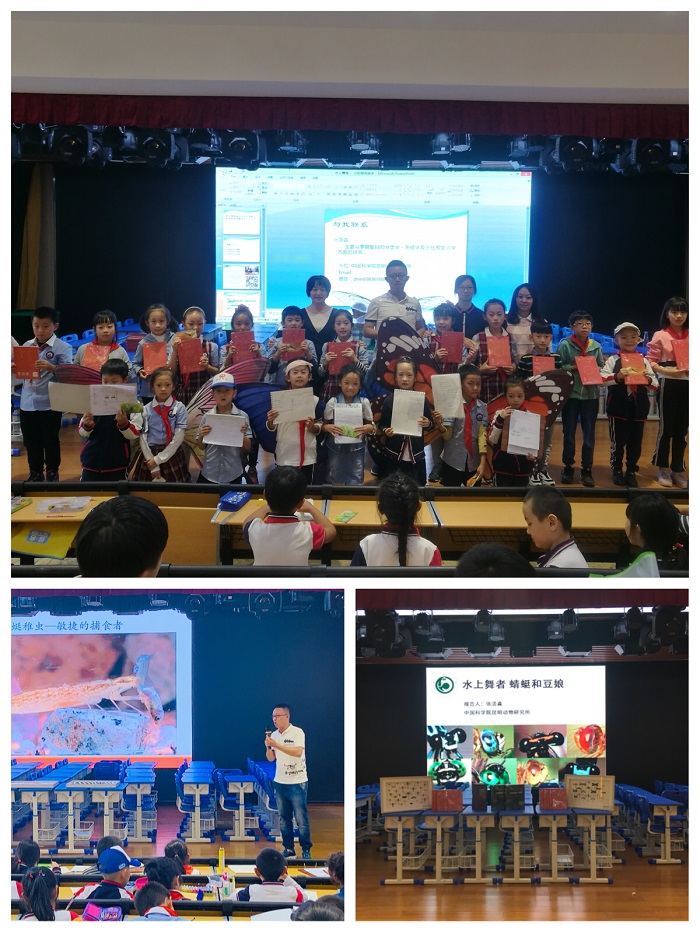 电子游戏app下载安装