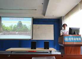 电子游戏app下载安装