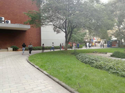 电子游戏app下载安装