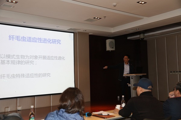 电子游戏app下载安装