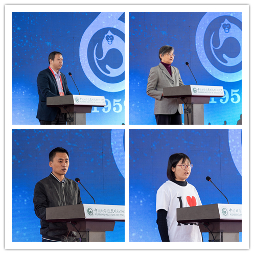 电子游戏app下载安装