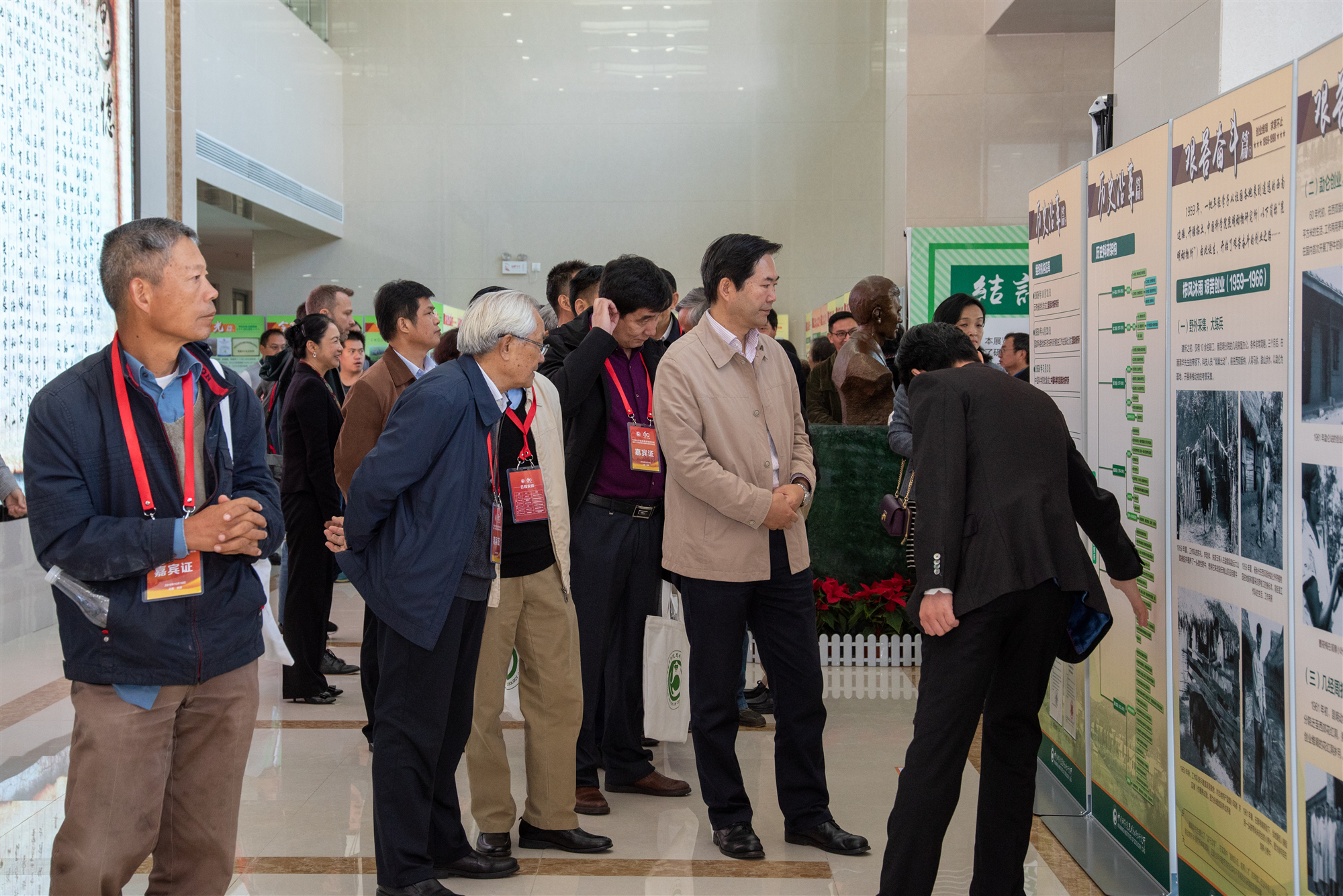 电子游戏app下载安装