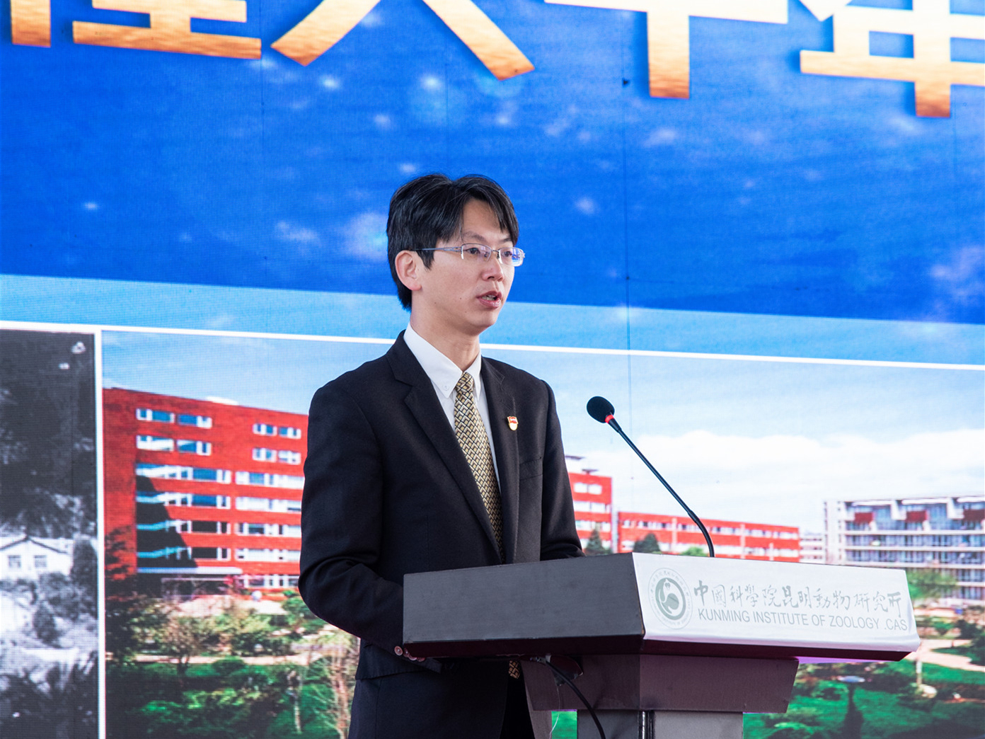 电子游戏app下载安装