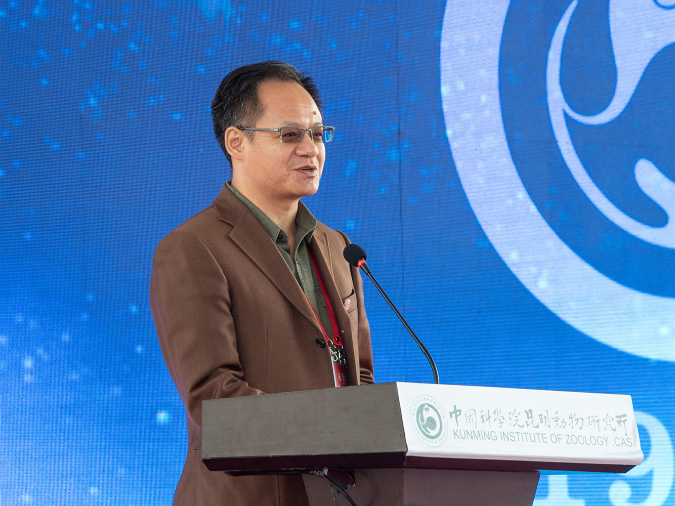 电子游戏app下载安装