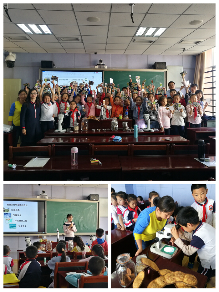 电子游戏app下载安装