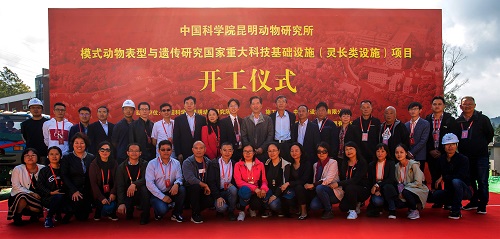 电子游戏app下载安装