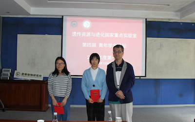 电子游戏app下载安装