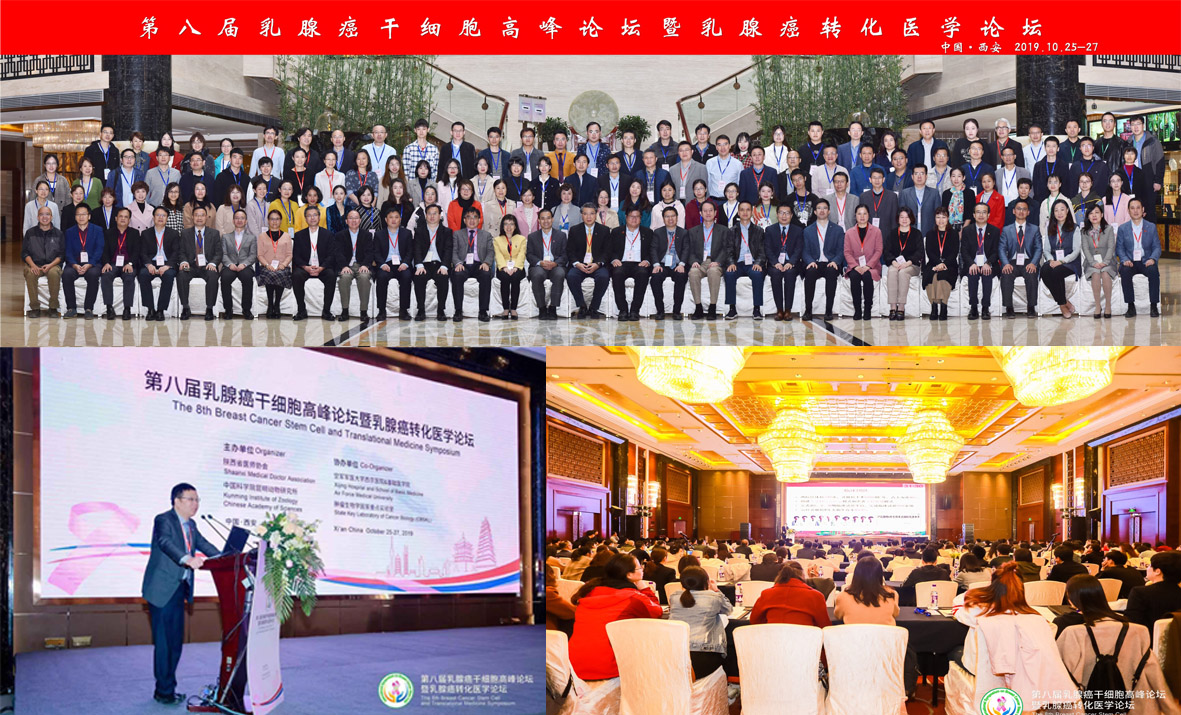 电子游戏app下载安装