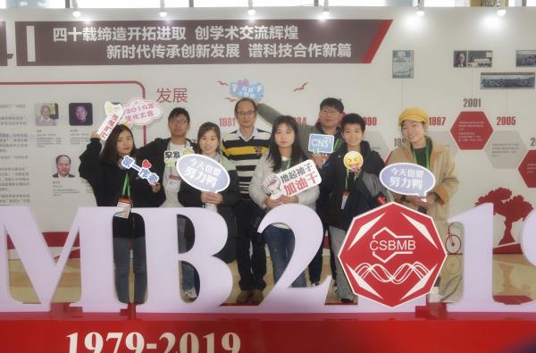 电子游戏app下载安装