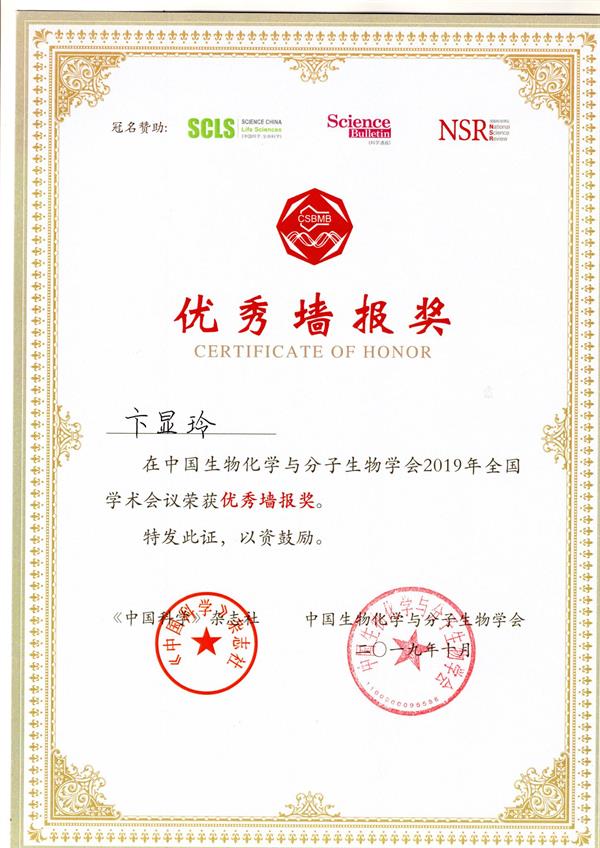 电子游戏app下载安装