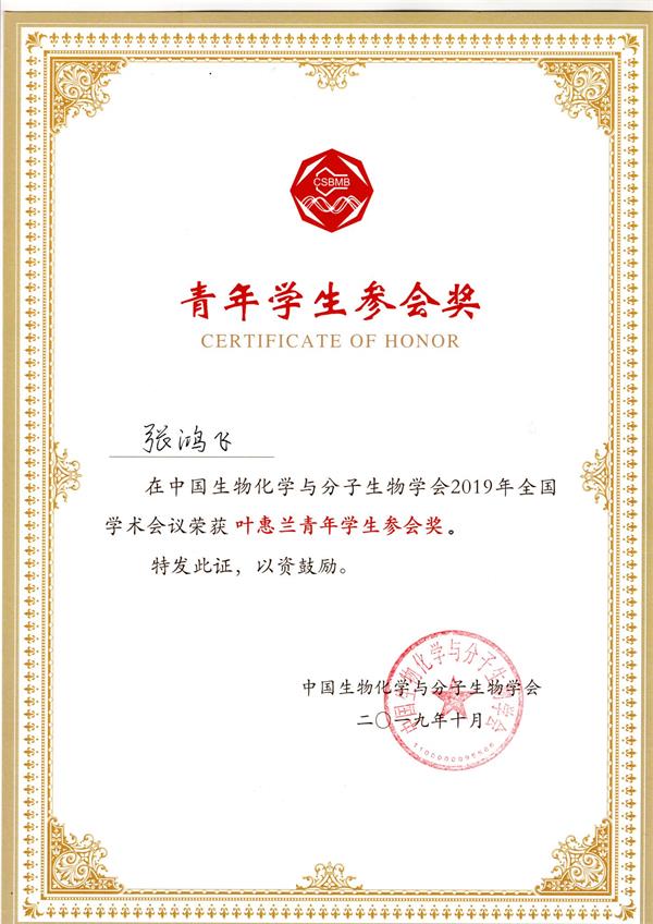 电子游戏app下载安装