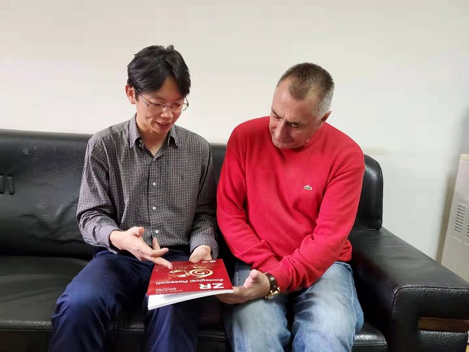 电子游戏app下载安装