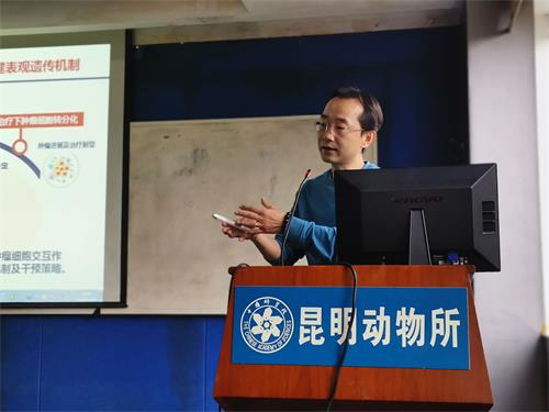 电子游戏app下载安装