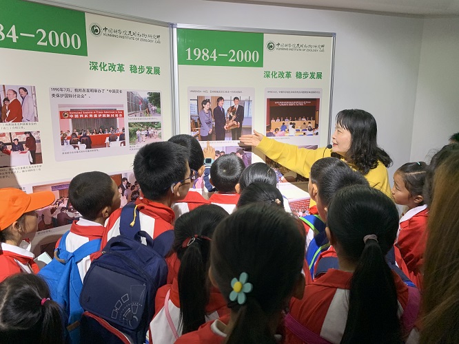 电子游戏app下载安装