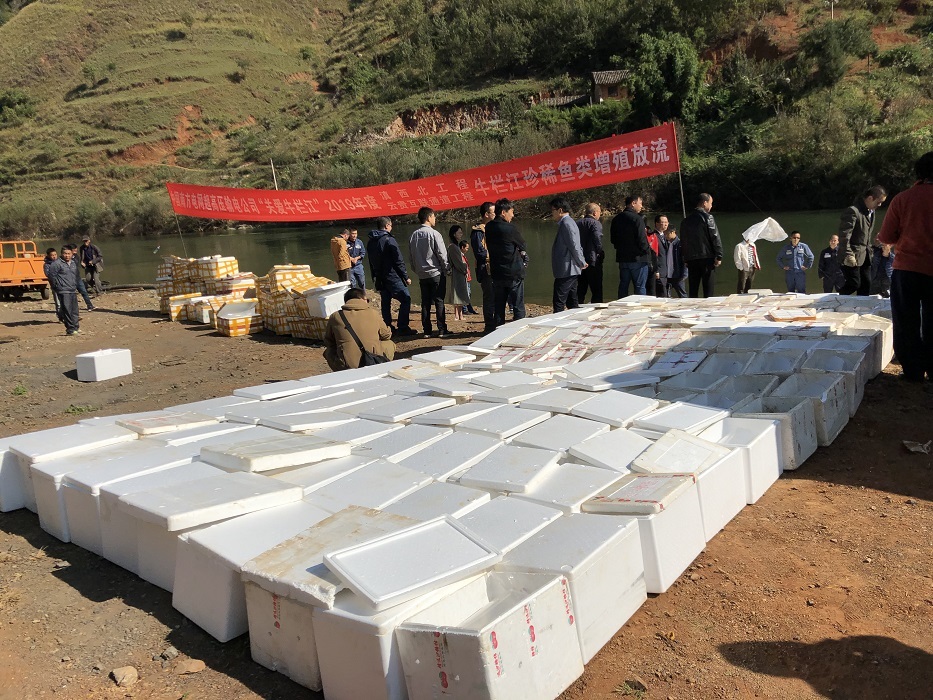 电子游戏app下载安装