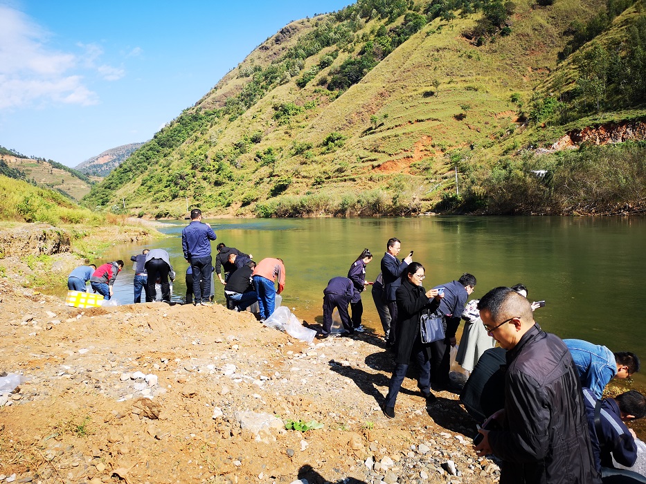 电子游戏app下载安装