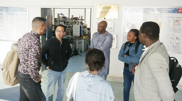 电子游戏app下载安装