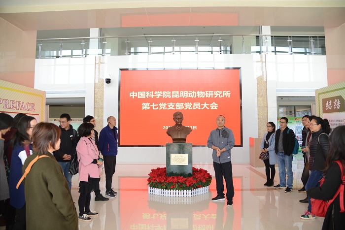 电子游戏app下载安装