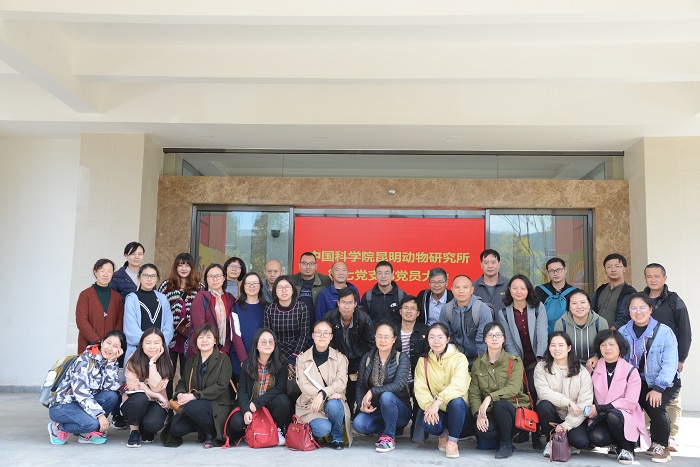 电子游戏app下载安装