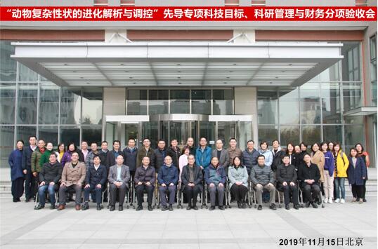 电子游戏app下载安装