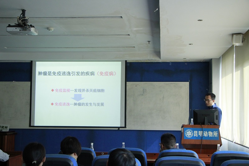 电子游戏app下载安装