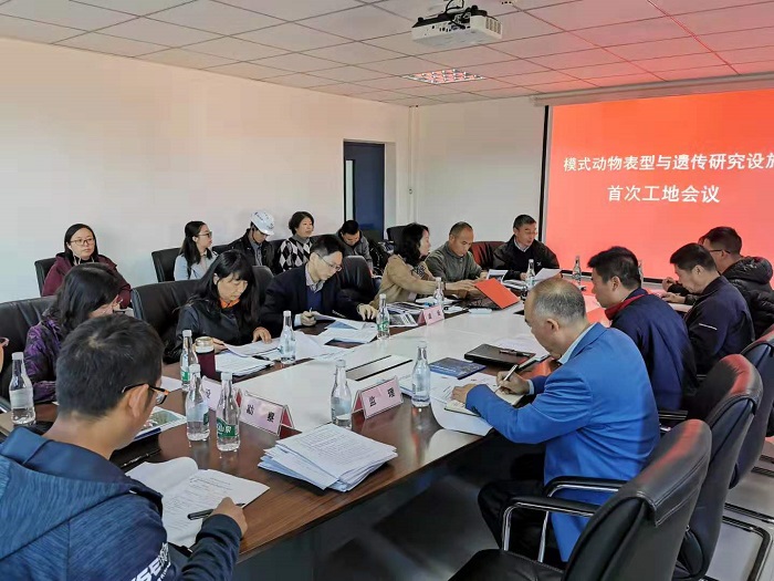 电子游戏app下载安装