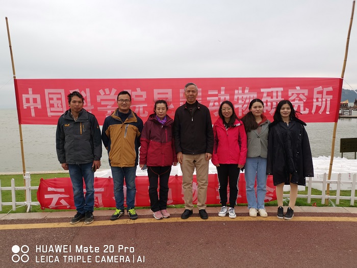 电子游戏app下载安装