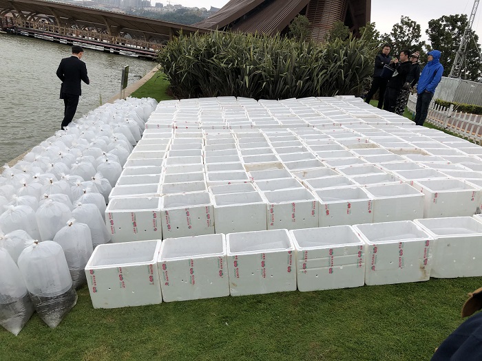 电子游戏app下载安装