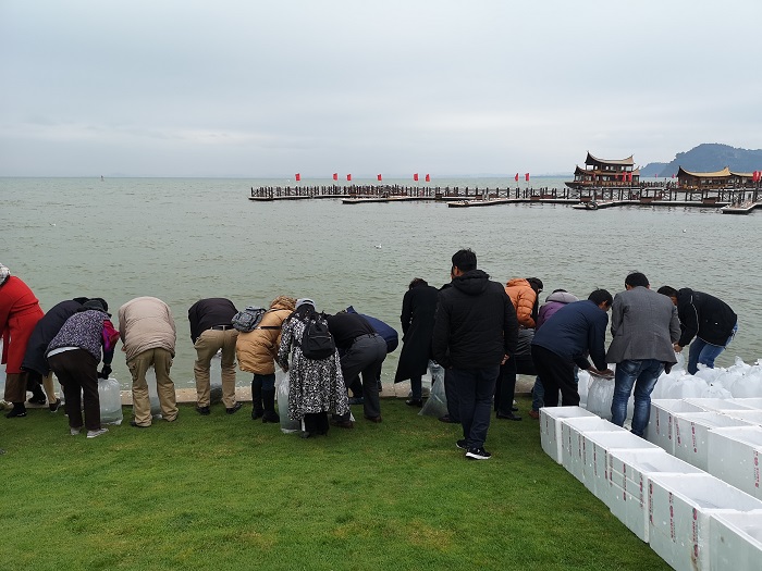 电子游戏app下载安装