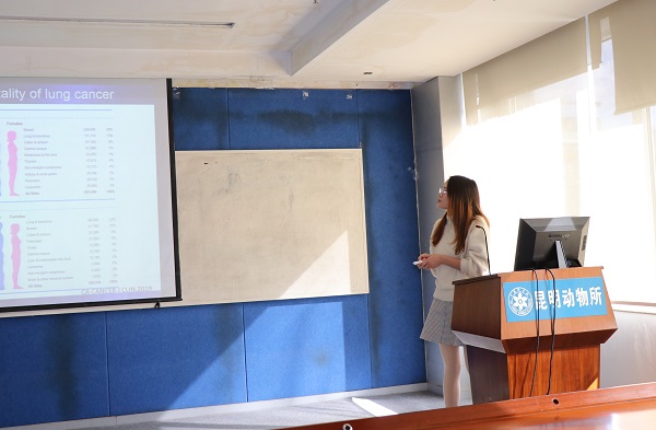 电子游戏app下载安装