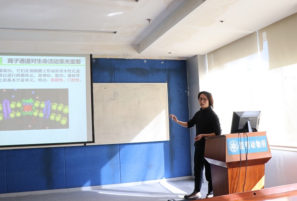 电子游戏app下载安装