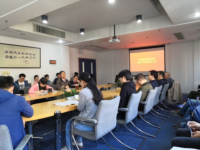 电子游戏app下载安装