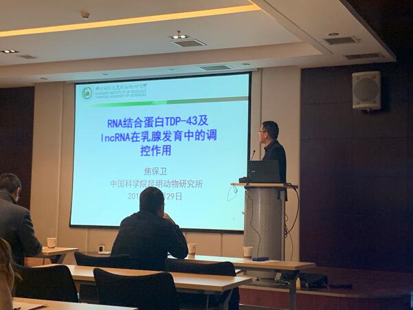 电子游戏app下载安装