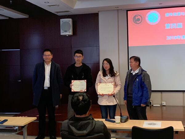 电子游戏app下载安装