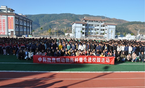 电子游戏app下载安装