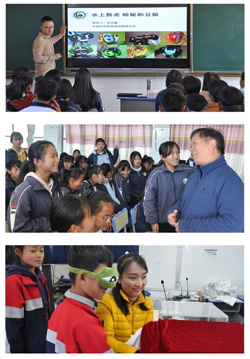 电子游戏app下载安装