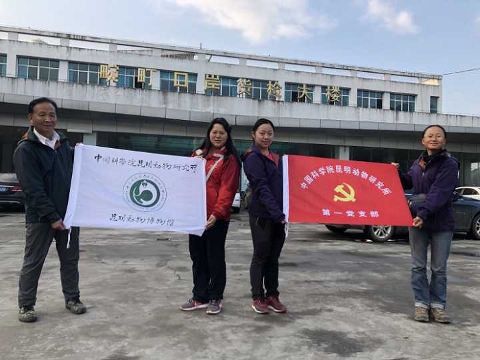 电子游戏app下载安装