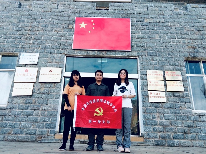 电子游戏app下载安装