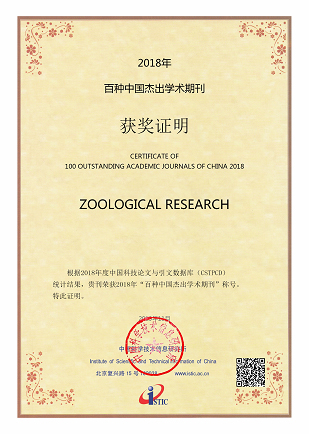 电子游戏app下载安装