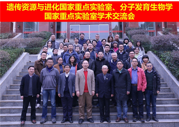 电子游戏app下载安装