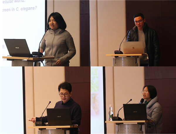 电子游戏app下载安装