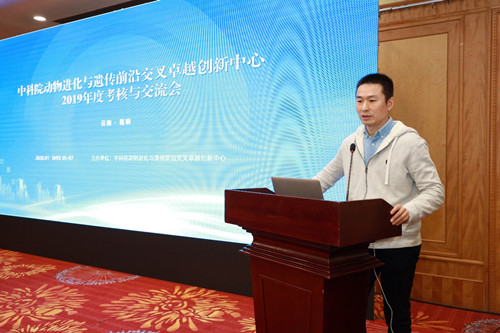 电子游戏app下载安装